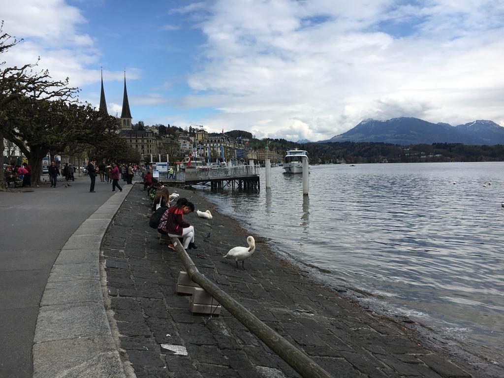 Falken 2* Lucerne